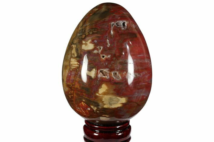 Colorful, Polished Petrified Wood Egg - Triassic #111034